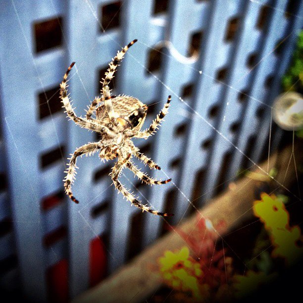 221811_10151181846052288_290333456_n