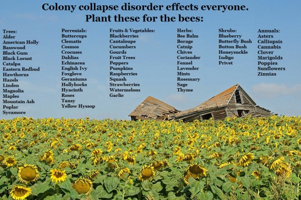 485193_417338835007664_1527225364_n