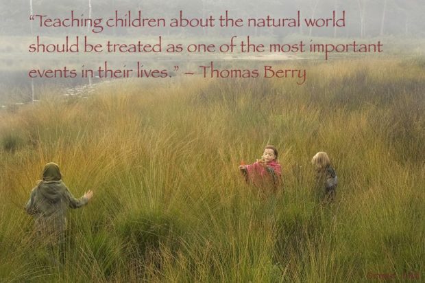 575033_136939363145013_1711829094_n