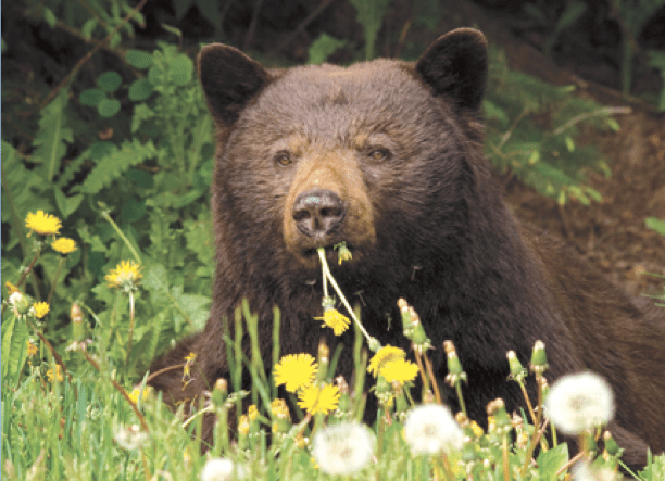 Screen shot 2013-05-04 at 3.37.10 PM