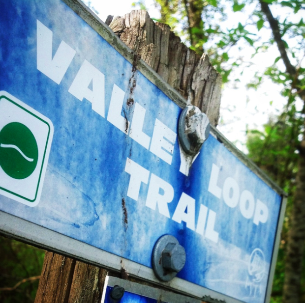 Valley Loop Trail WellnessAlmanac on Instagram Photo Gary Martin
