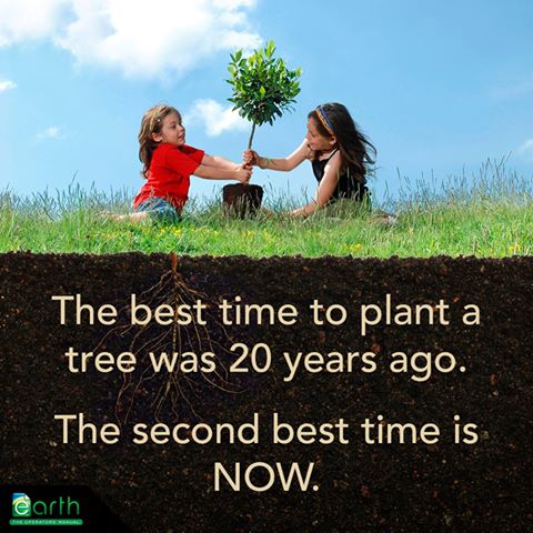 935591_641748632507152_1694821864_n