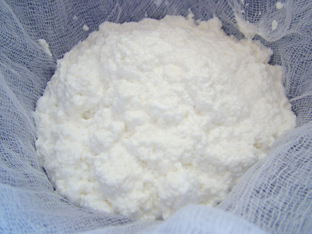 Ricotta2