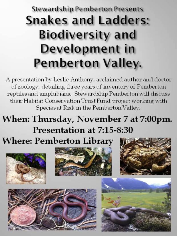 1496_10151939531180238_1571496586_n