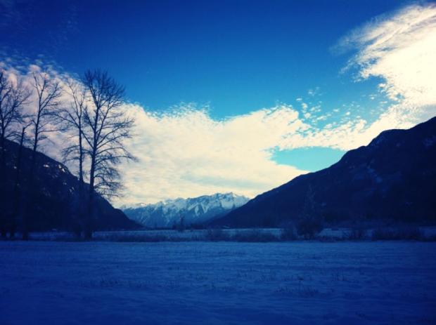 1535580_10152145249707889_1562827985_n