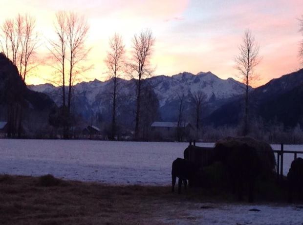 1546071_10152144594092889_1695193041_n