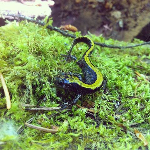 184485_10151646350780210_849643215_n