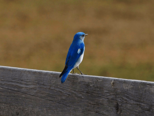 Screen shot 2014-01-18 at 11.14.13 AM