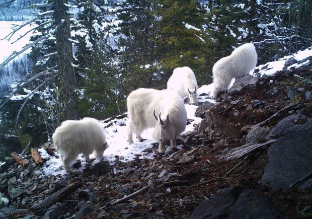 P057-381-256-335-10074