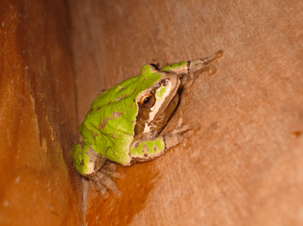 Screen shot 2014-03-29 at 7.56.16 PM