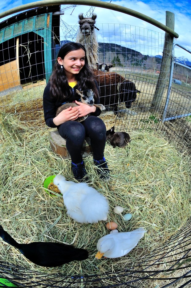 Spring in Pemberton means new beginnings, new babies, new life. Photo by Dave Steers.