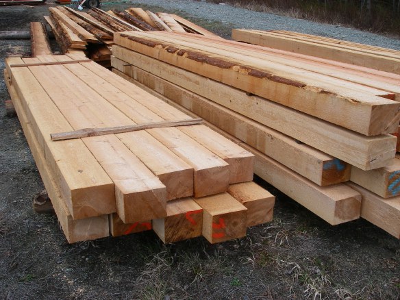 pemberton-milling-purlins-6-x-8-april-17-bruce-l-visit-10