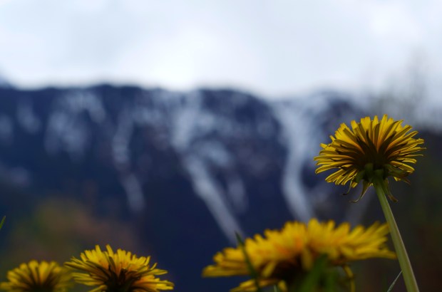 Ruben Guibert April 2014
