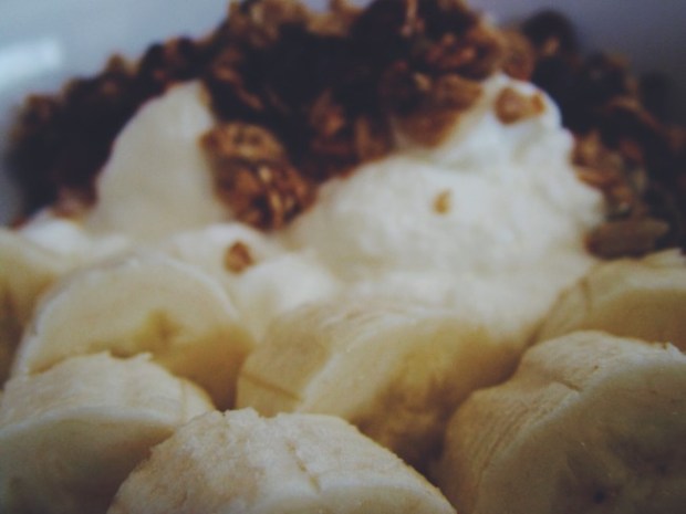 Yogurt and granola