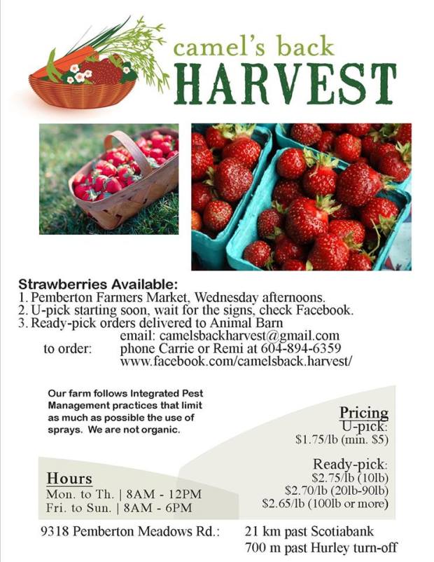 10441435_412182255591403_8091005430776816490_n