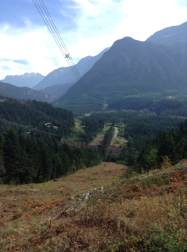 Reid Road burn July 2014