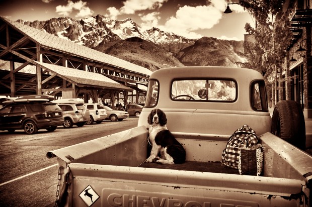 Waiting by Dave Steers