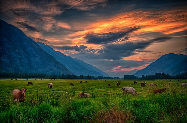 Pemberton Evening, by Dave Steers. August 2014