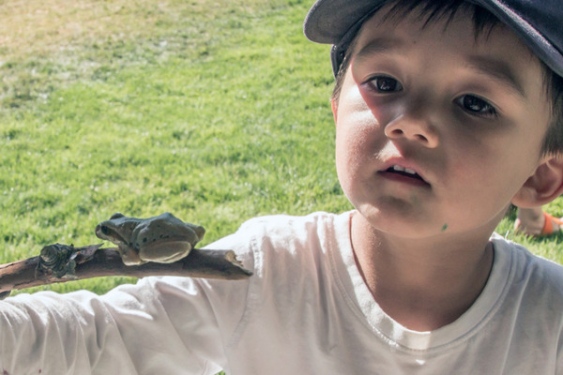 gw201310307319967ar-jpg