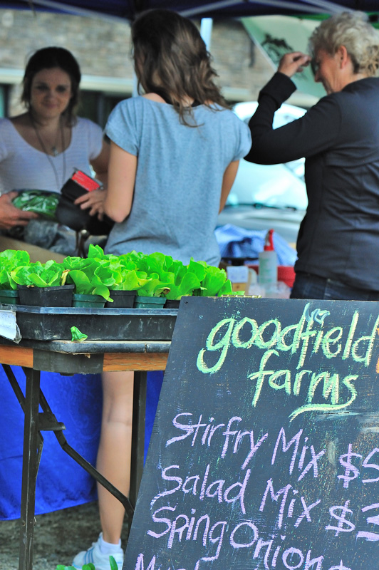 7418117762_2c50d3bd74_k