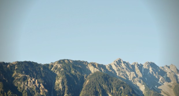 Ruben Guibert Fall Currie