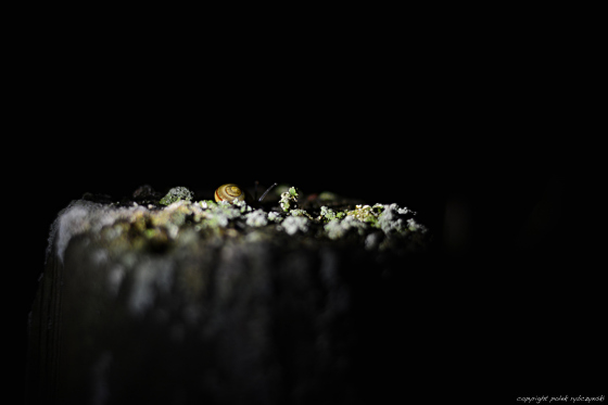 …floating on the mystical island, the seeker observes… 