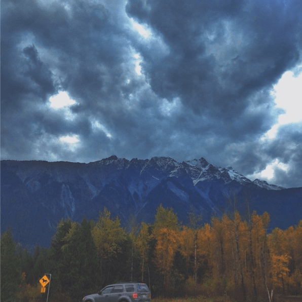 Gary Martin #50DayWellnessChallenge Day 17