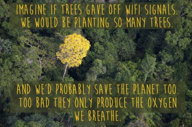 1621833_10152595749518300_5780573094567112545_n