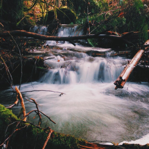 Processed with VSCOcam with c1 preset