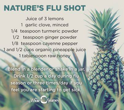 Natures flu shot via pemberton valley wellness