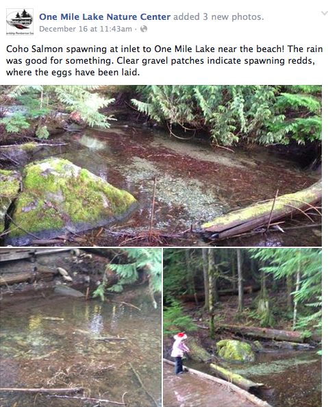 Screen shot 2014-12-21 at 7.06.16 PM