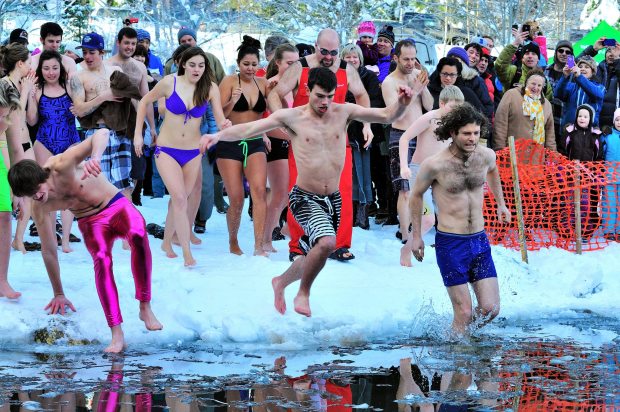 Polar Bear swim in pink