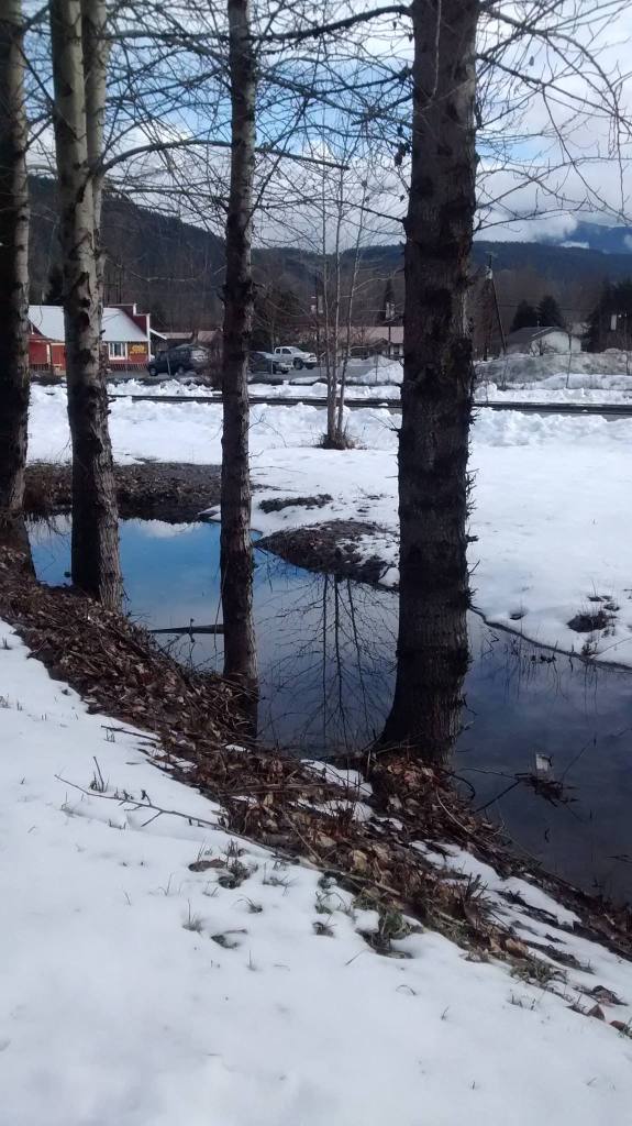 10967478_10152627497110658_809487864_o