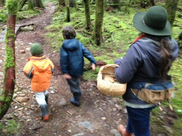 Foraging for wild teas photo Isabelle Ranger