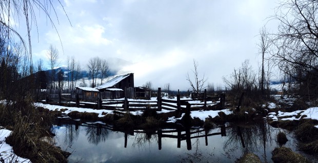 Ruben Guibert February 2015