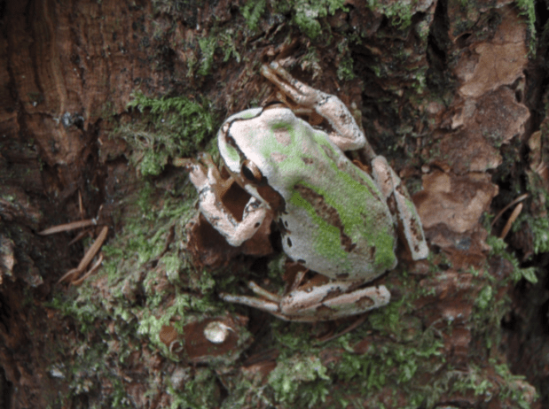 screen-shot-2014-03-29-at-7-56-02-pm