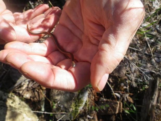 529167_10151530133435210_1087153273_n