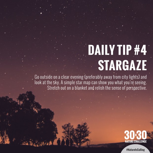 Daily_Tip_4
