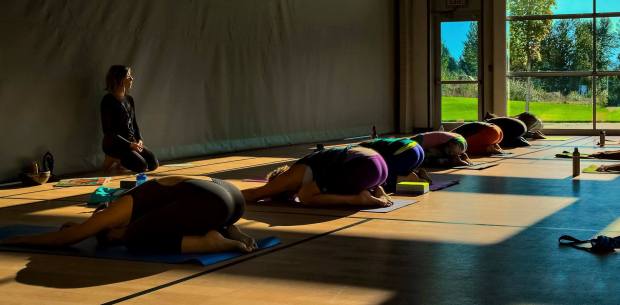 10669362_10153169550088830_3520233383555258935_o