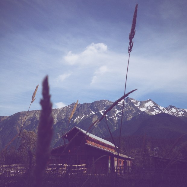 Processed with VSCOcam with a5 preset