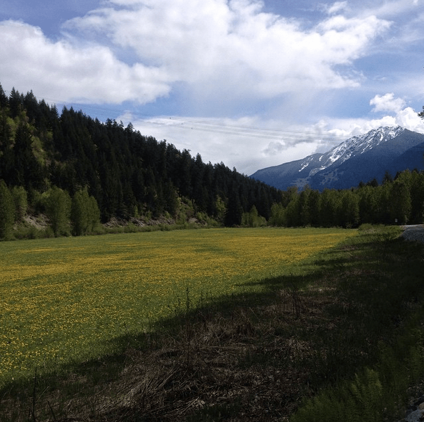 Screen shot 2015-05-13 at 10.23.45 AM