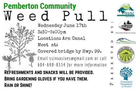 Pemberton Community Weed Pull