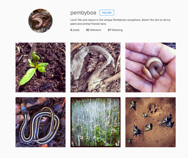pembyboa is on instagram