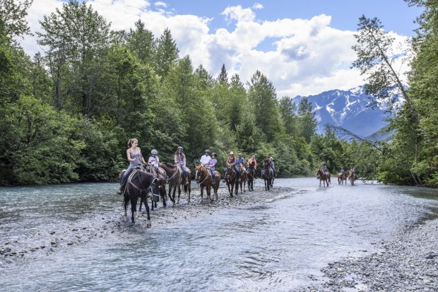 Hooves in Motion by Dave Steers 2015