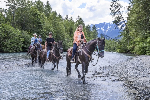 Hooves in Motion by Dave Steers