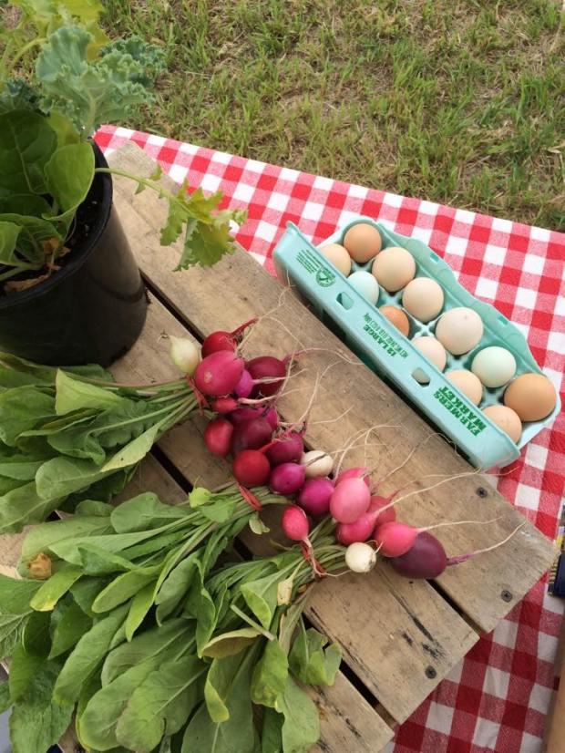 11377099_376722949202121_4211953404517559327_n