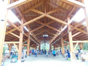 11800105_10153141877761347_7361904066169967880_n