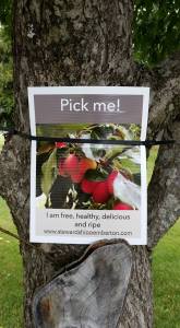 11855818_10153598118836518_3875449585136550761_n