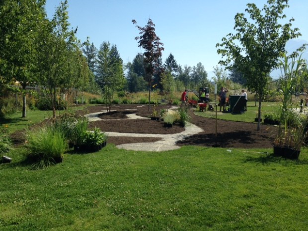 Day 4 Construction - plant layout