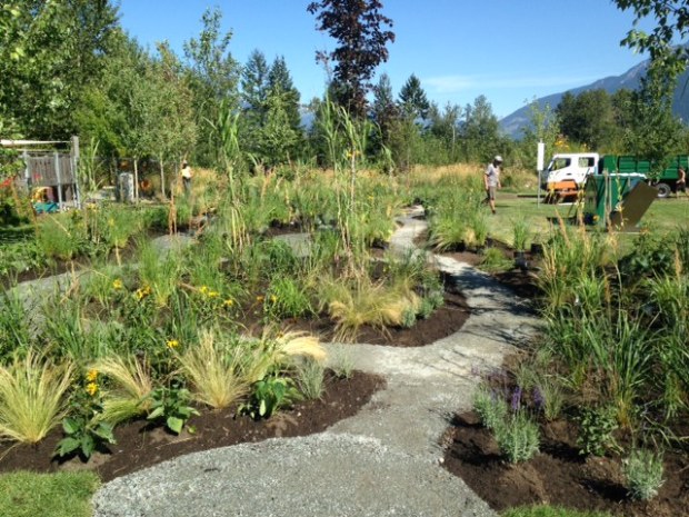 Day 4 - end of day planting